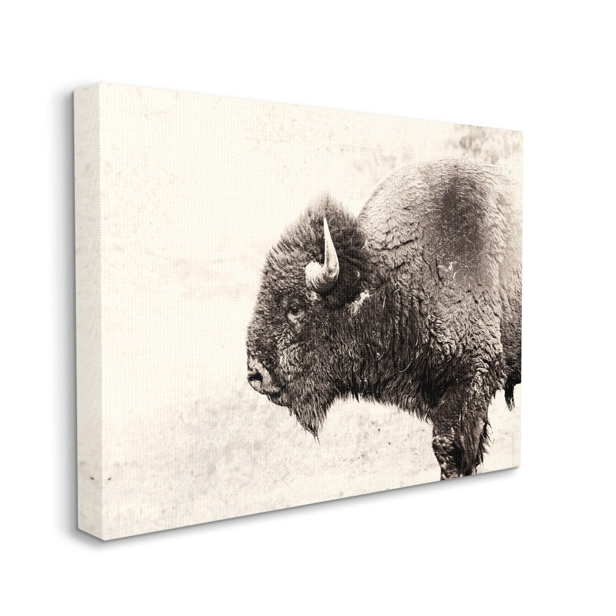 Stupell Industries Shaggy Buffalo Rustic Portrait Vintage Sepia Tone Photography, 20 x 16,Design by Nancy Crowell
