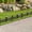 Black, variant on SUNJOY Garden Fence Solar Border Fencing with Waterproof LED Path Lights, Metal Lattice Fence Panel Outdoor Decorative Garden Fences(5PK), Black