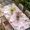 Pink, variant on Easter Flowers Table Cloths for 3 Foot Rectangle Tables, Watercolor Pink Floral Eggs Purple Plaid Patio Waterproof Elastic Fitted Tablecloths, Washable Rectangular Table Cover for Camping