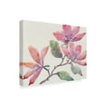thumbnail image 2 of Trademark Fine Art 'Flowering Branch I' Canvas Art by Tim OToole, 2 of 4