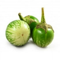 100 Green Eggplant Seeds, Organic Heirloom Variety by Mai's Family