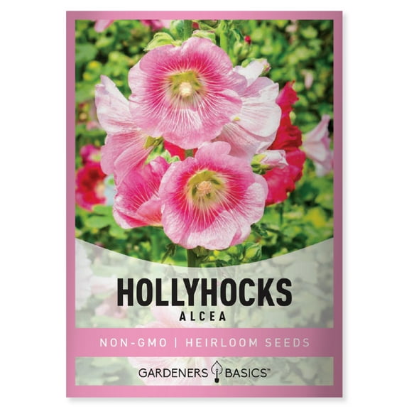 Alcea Hollyhocks Seeds