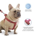 thumbnail image 4 of Mascretta Correa y Pechera para Perro Minimalista Mascretta  Pechera y Correa para Perro, 4 of 8