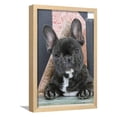 thumbnail image 1 of French Bulldog, Framed Art Print Wall Art Sold by ArtCom, 1 of 5