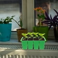 thumbnail image 2 of FRCOLOR  Reusable Starter Multi-purpose Plant Tray Succulent Germination, 2 of 8