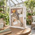 Rustic Shadow Box Table Ideas 11x14 Rustic White Wooden Shadow Box with Adjustable Shelves for Wall ...