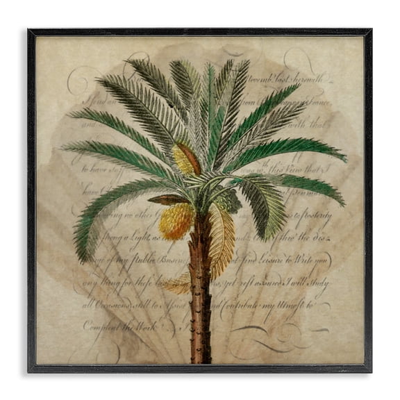 Stupell Industries Vintage Subdued Palm Black Framed Giclee Art, design by Steve Hunziker