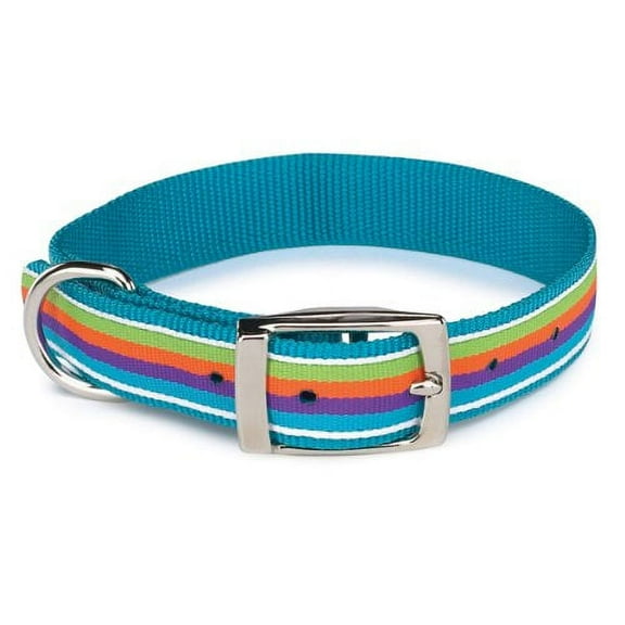Zack & Zoey Nylon Brite Stripe Dog Collar, 18 to 22-Inch, Bluebird