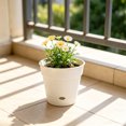 thumbnail image 6 of Root Pruning Breathable Flowerpot, Thickened Round Planter With Air Slots, Prevents Waterlogging And Rot For Houseplant Indoor Decor, 6 of 6