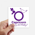 thumbnail image 1 of Constellation Fate Birthday Celebration Capricorn Sticker Square Waterproof Stickers Wallpaper Car Decal, 1 of 1