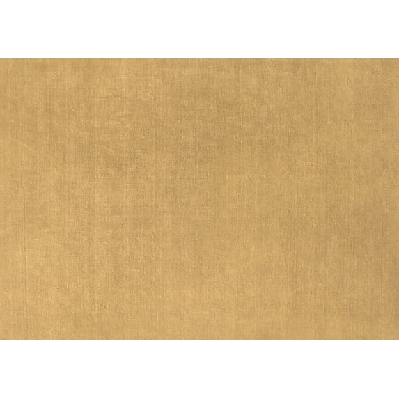 Ahgly Company Indoor Rectangle Solid Brown Modern Area Rugs, 2' x 4'