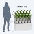 thumbnail image 4 of Tall Planter Box with Removable Insert Shelf & Drainage Holes, Large Metal Flowers Pot for Outdoor/Indoor Patio Garden, 38x10.24x30 Inches, White, 4 of 10