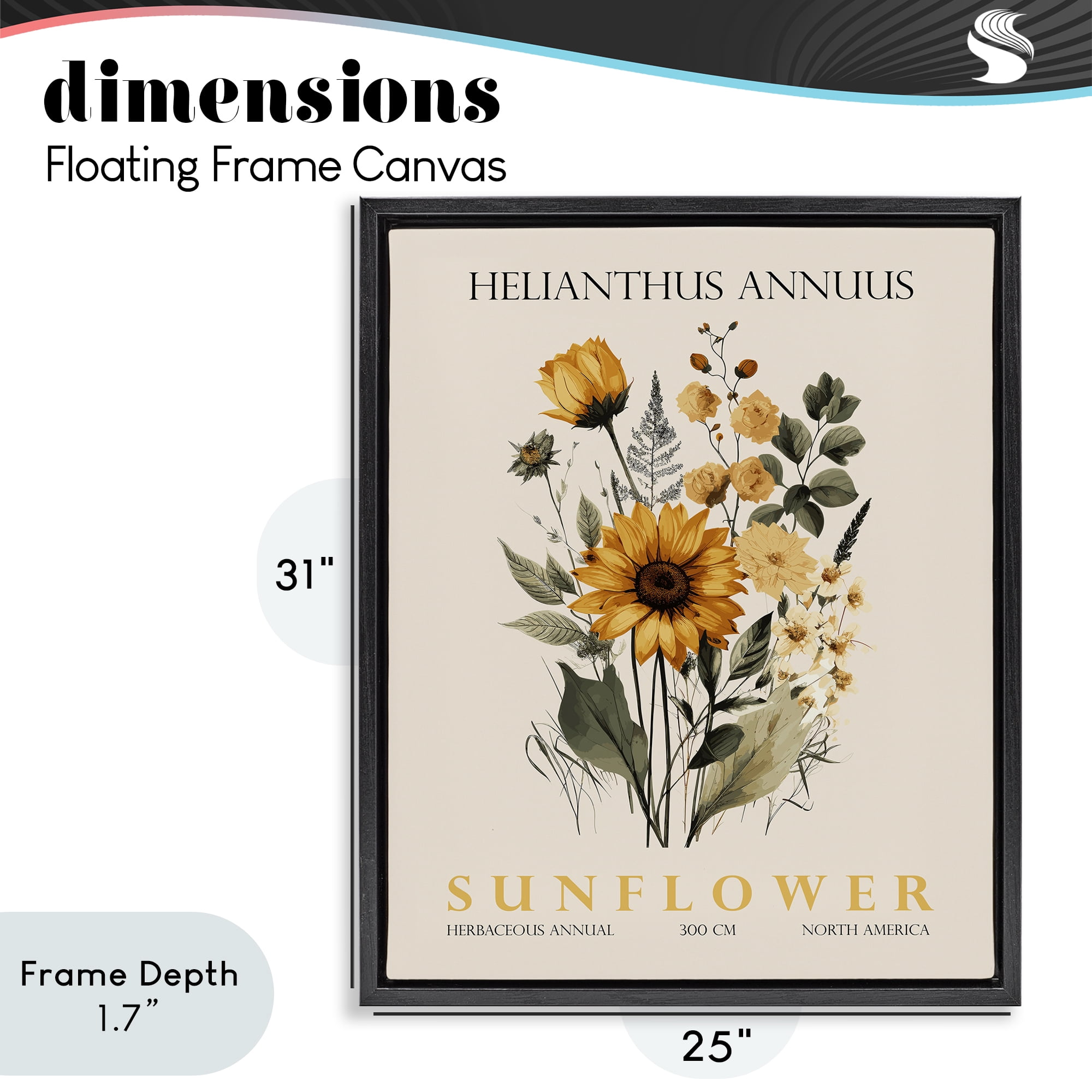 Stupell Industries Natural Sunflower Bundle Black Framed Floater Canvas Wall Art, design by Christopher Giampietro