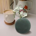 thumbnail image 2 of 2 piezas de espuma floral húmeda Esfera de la embarcación floral FUMA FLORAL FLORAL FLOVE BALLS Plant Dry Foam Floral Floral Blocks Arreglos de flores redondas de 12 cm, 2 of 4