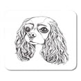 thumbnail image 1 of SIDONKU Adorable Portrait of The Cavalier King Charles Spaniel Black and White Mousepad Mouse Pad Mouse Mat 9x10 inch, 1 of 1