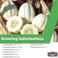 thumbnail image 2 of Harris Seeds Mashed Potatoes F1 Acorn Squash Seeds, White Rind Winter Squash, 250 Count, 2 of 7