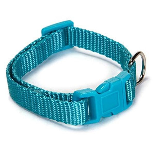 Brite Color Nylon Collars for Dogs 11 Fun Colors 4 Sizes Bright Dog
