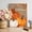 Brown, variant on Canvas Wall Art, Orange White Pumpkins Fall Framed Canvas Prints for Living Room Office, Thanksgiving Botanical Grey Wooden Extra Large Gallery Wrapped Wall Decor for Home Office, Gifts, 24"x32"
