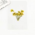 thumbnail image 3 of Dried Flowers Pressed Flowers Material Package DIY Handmade Bet Flowers Bookmarks Photo Frame Plant Specimen Portrait Handmade Stick Face Makeup, 3 of 4