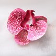 thumbnail image 4 of 10 Uds cabezas de flores a granel al por mayor para manualidades flores artificiales cabeza de seda para decoración del hogar de boda DIY fiesta Festival, 4 of 5