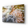 thumbnail image 2 of Epic Art 'Thermal Art - Yellowstone National Park' by Darren White, Acrylic Glass Wall Art, 16"x12", 2 of 8