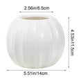 thumbnail image 4 of Gallickan Plastic Flower Pot, Pumpkin Shape Decorative Planter with Two Halves, Festive Garden Vase for Indoor and Outdoor Plants, White, 4 of 6