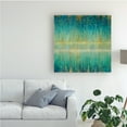 thumbnail image 3 of Trademark Fine Art 'Rain Abstract I' Canvas Art by Danhui Nai, 3 of 3