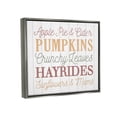 thumbnail image 3 of Stupell Industries Autumnal Fun Activities List Graphic Art Luster Gray Floating Framed Canvas Print Wall Art, Design by Dogwood Portfolio, 3 of 6
