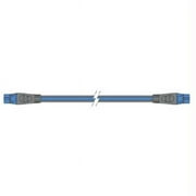 1M Backbone Cable Seatalk Ng