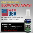thumbnail image 3 of Spray ambientador Scent Bomb 30 ml Eucalipto Pack de 4, 3 of 6