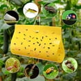 8-pack-cucumber-beetle-trap-and-lure-double-sided-yellow-sticky-traps