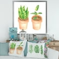 thumbnail image 3 of Designart 'Ficus and Sansevieria Indoor Green Home House Plants' Traditional Framed Art Print, 3 of 4