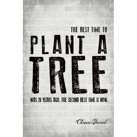 The Best Time To Plant A Tree (Chinese Proverb), motivational (Best Time To Fertilize Trees)