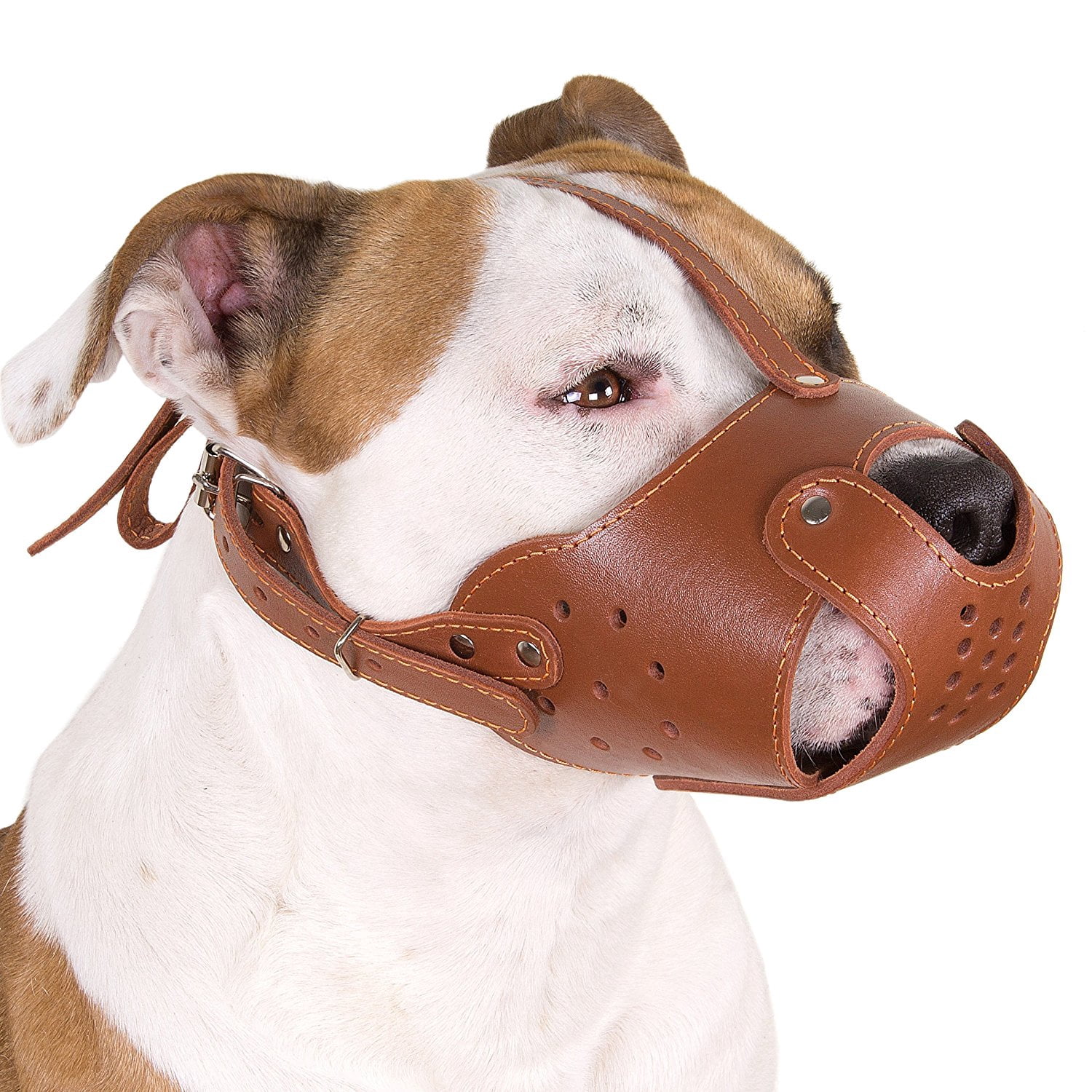 muzzle pit