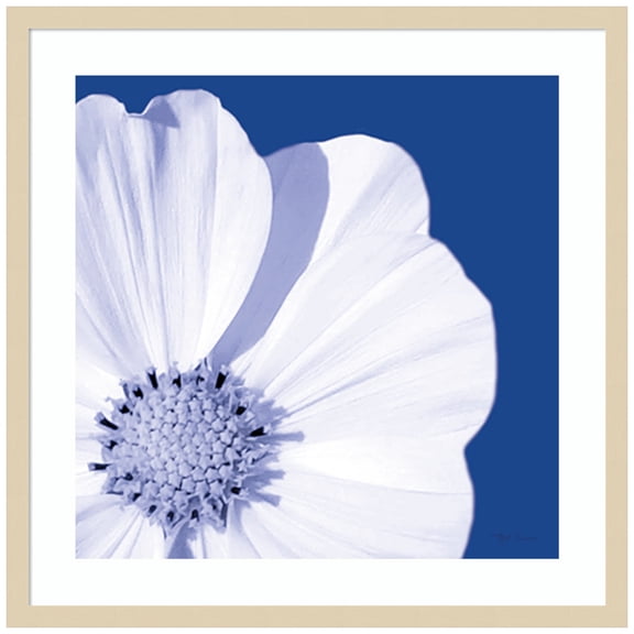 Amanti Art Flower Pop blue III Wood Framed Wall Art Print