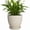 Cream White, variant on Wliror 8 Inch Retro Blue Ceramic Plant Pot with Drainage – Vintage Round Planter for Indoor Plants, Succulents, Herbs
