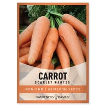 Scarlet Nantes Carrot Seeds
