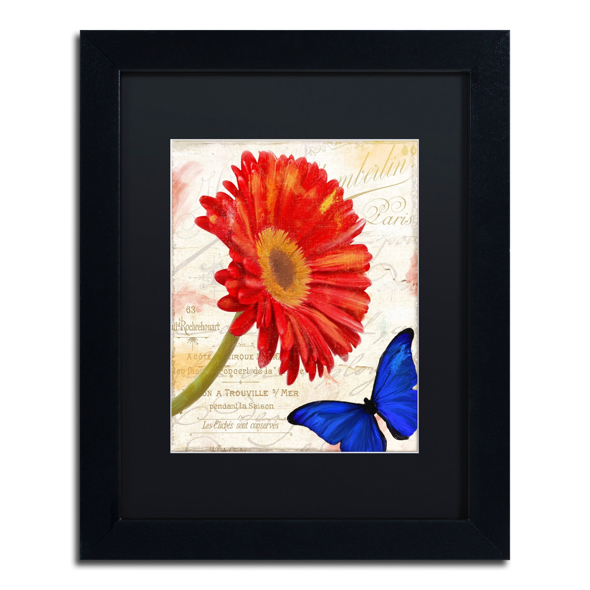 Trademark Fine Art "Gerbera Daisy" Canvas Art by Color Bakery Black Matte, Black Frame