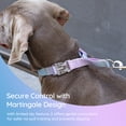 thumbnail image 5 of BELLA & PAL Slip Martingale Collar for Dogs, Limited Slip Design, Reflective, Escape-Proof, Gentle Control, Adjustable Training Collar with Quick-Release Strong Buckle, Nylon, Small, 5 of 10