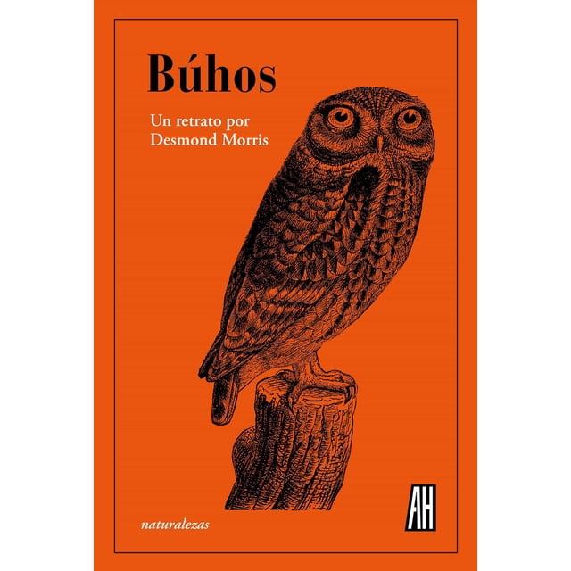 Búhos Adriana Hidalgo editora 9788412403381