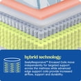 thumbnail image 5 of Sealy Dreamlife 10” Full Hybrid Mattress-in-a-Box, Adult, 5 of 14
