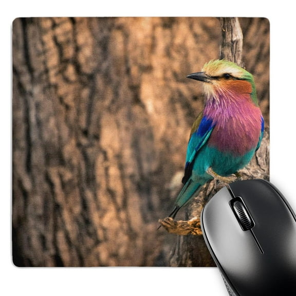 3dRose, Botswana. Okavango Delta. Khwai concession. Lilac-breasted roller., MousePad