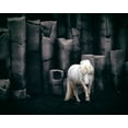 thumbnail image 2 of Kort, Bragi 18x15 Gold Ornate Wood Framed with Double Matting Museum Art Print Titled - Icelandic Horse, 2 of 4