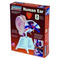 thumbnail image 1 of ZM71308 - HUMAN EAR ANATOMY MODEL KIT LINDBERG UNASSEMBLED, 1 of 3