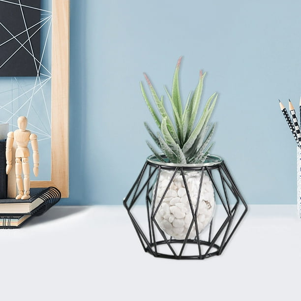 Jarrón Hidropónico de Vidrio Decorativo Jlh250205002 | Marco de Hierro | Maceta de Vidrio Transparente para Plantas Acuáticas de Hiedra Verde | Decoración Moderna para El Hogar | Decoración para Sala