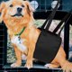 thumbnail image 4 of FUTUREORYY Cinturón Auxiliar Para Perros Con Correa Ajustable Y Acolchado Negro Para Rehabilitación Y Soporte, 4 of 8