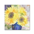 thumbnail image 2 of Trademark Fine Art "Sunflower Blossom Bouquet" Canvas Art by Sheila Golden, 2 of 4