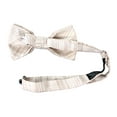 thumbnail image 3 of Spring Notion Men's Microfiber Fine Texture Bow Tie, 3 of 4