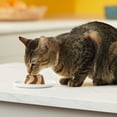thumbnail image 3 of Meow Mix Tasty Layers Swirled Paté Cat Food, Chicken & Tuna Recipe Stuffed with Real Chicken, 2.75 oz Cup (12 Count), 3 of 8