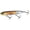Real Golder Shiner, variant on Yo-Zuri 3DB Pencil 4 in Topwater Prism Shad
